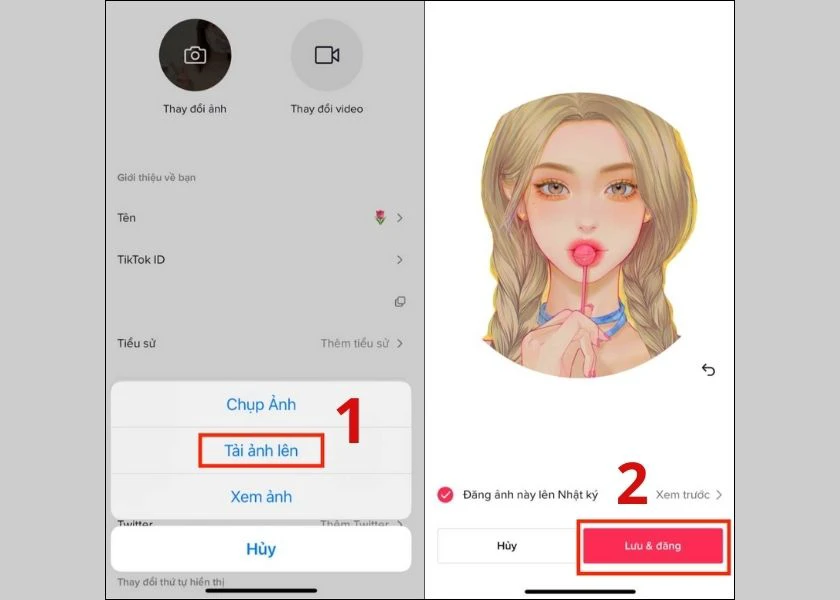 avatar trong suốt tiktok