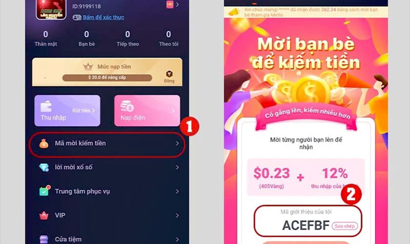 kiếm tiền từ meyo