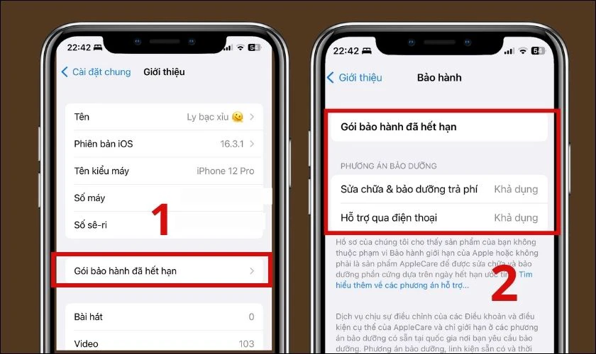 kiểm tra tình trạng bảo hành của iphone