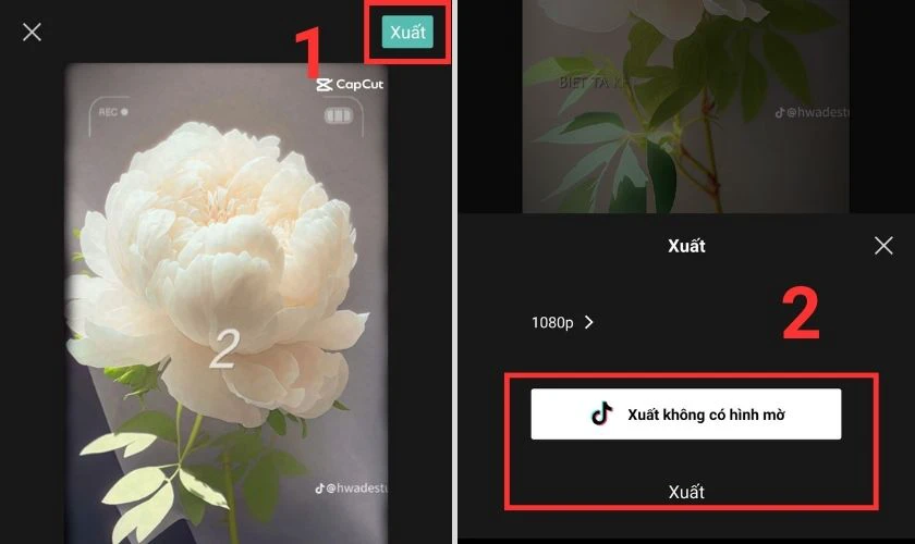 lưu template video về m&aacute;y