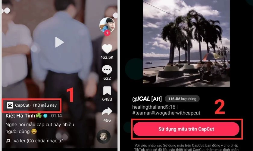 template capcut tr&ecirc;n tiktok
