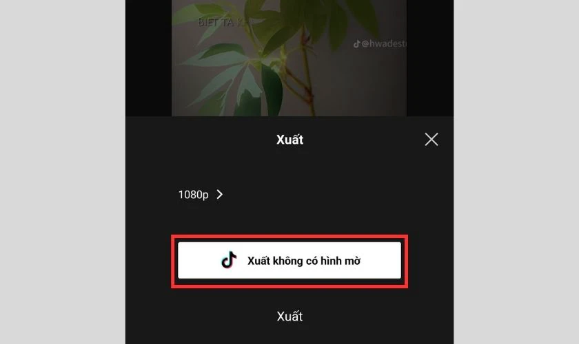 tải video capcut kh&ocirc;ng d&iacute;nh logo