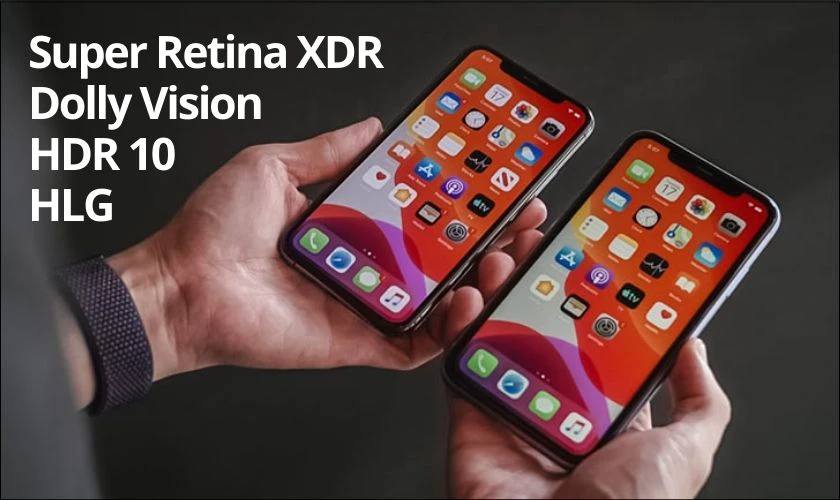 thiết kế của 12 thường và pro