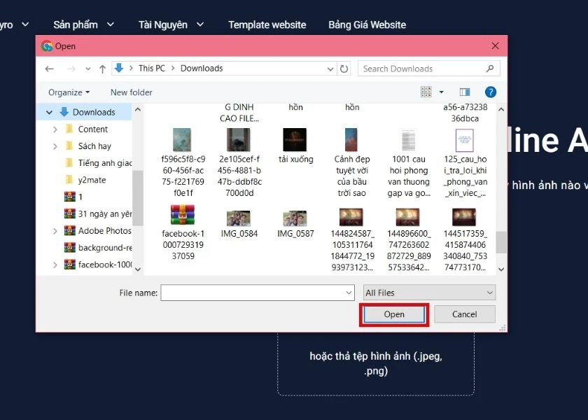 zyro c&ocirc;ng c&ocirc;ng cụ gi&uacute;p x&oacute;a nền