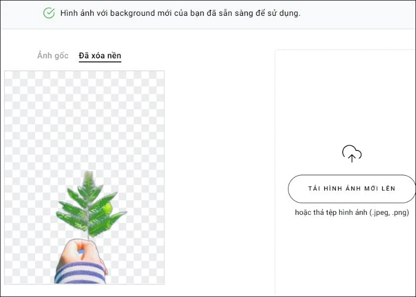 web t&aacute;ch ph&ocirc;ng zyro dễ d&agrave;ng