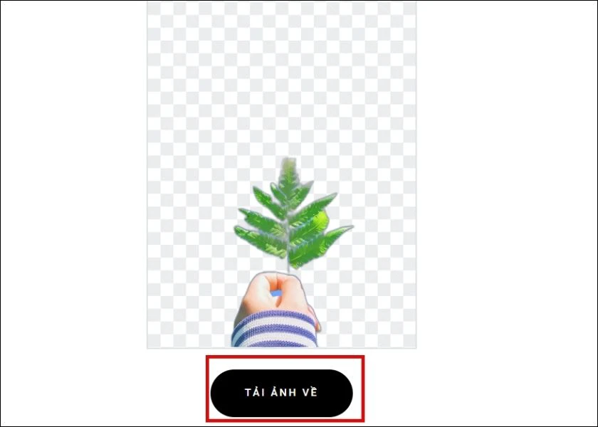 zyro hỗ trợ t&aacute;ch nền trực tuyến