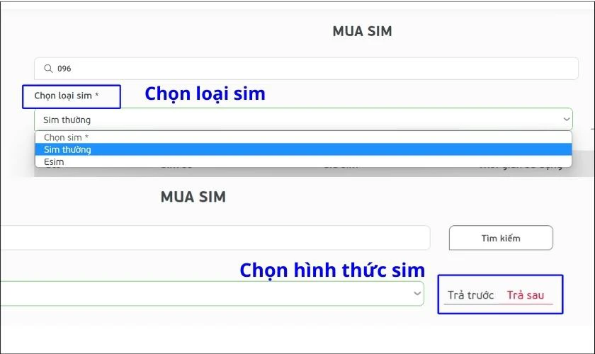 chọn h&igrave;nh thức sim 096