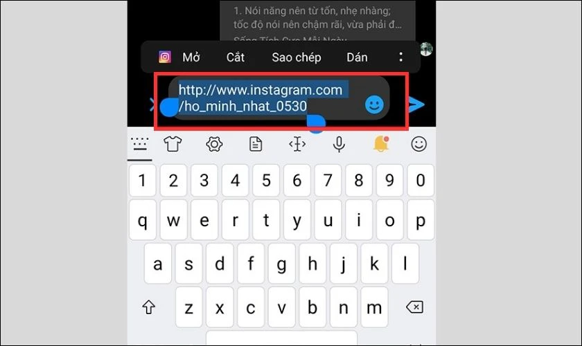 sao ch&eacute;p đường dẫn instagram c&aacute; nh&acirc;n