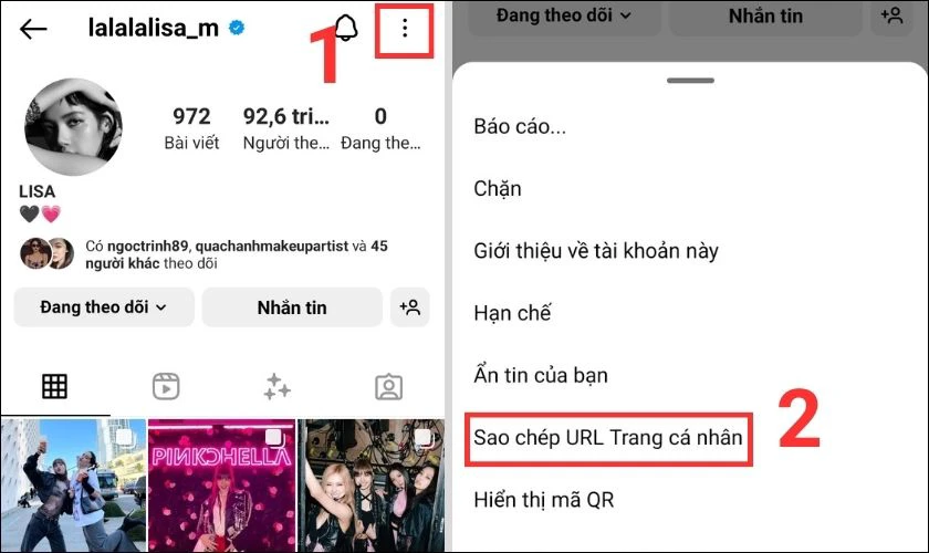 sao ch&eacute;p url trang c&aacute; nh&acirc;n của người kh&aacute;c tr&ecirc;n instagram