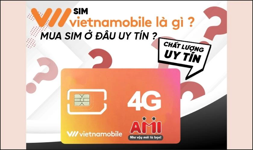 c&oacute; n&ecirc;n mua sim đầu số 058 