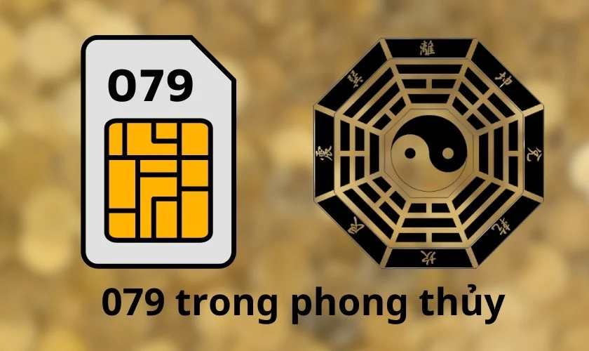 &yacute; nghĩa phong thủy đầu số mạng 079 l&agrave; g&igrave;