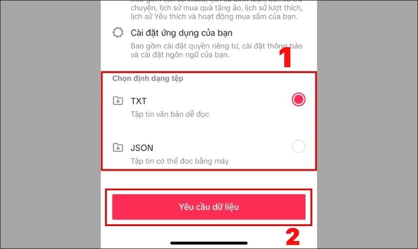 lựa chọn một trong hai mục txt hoặc json