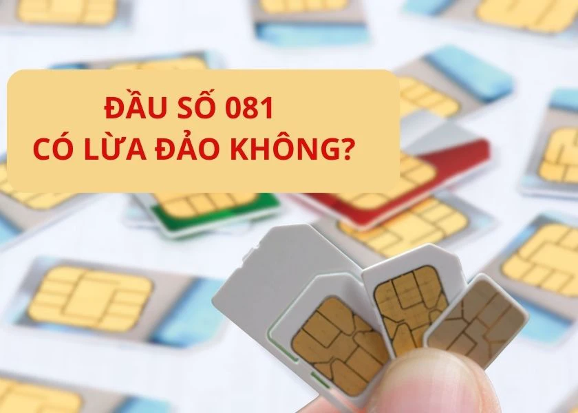 đầu số 081 c&oacute; lừa đảo kh&ocirc;ng