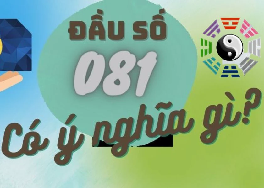 sim c&oacute; đầu số 081 c&oacute; &yacute; nghĩa g&igrave;