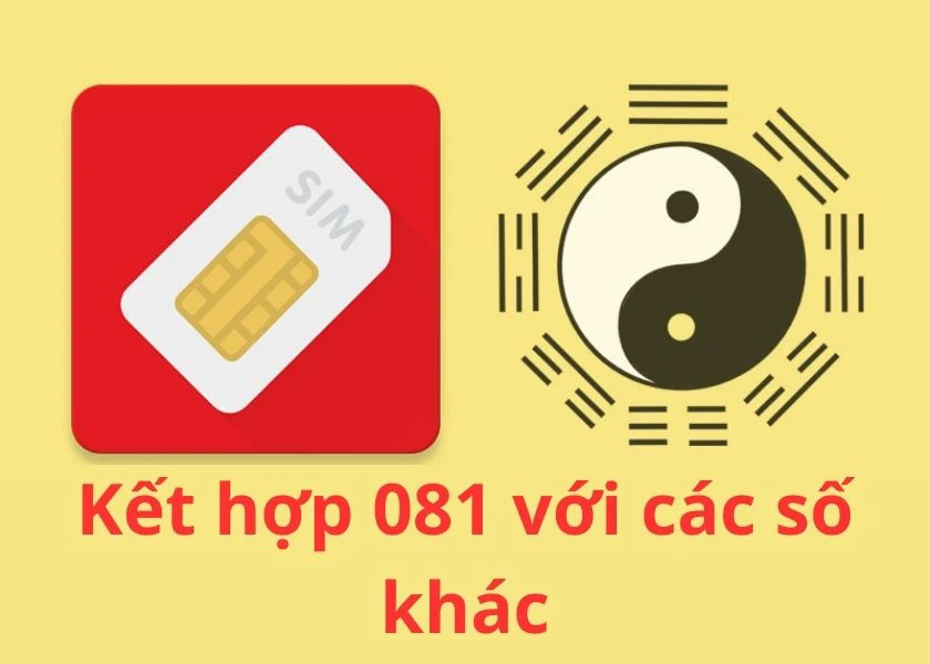 đầu 081 l&agrave; mạng g&igrave;