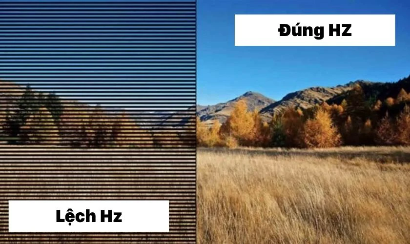 Lỗi tần số qu&eacute;t kh&ocirc;ng ch&iacute;nh x&aacute;c