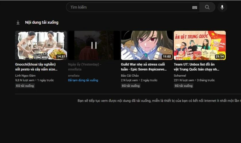 Xem danh s&aacute;ch video đ&atilde; tải từ Youtube 