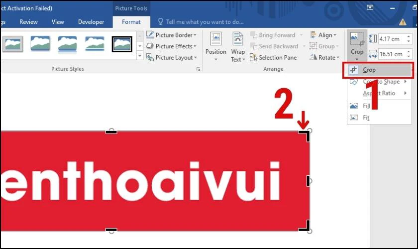 c&aacute;ch cắt h&igrave;nh ảnh trong word theo &yacute; muốn bằng format 