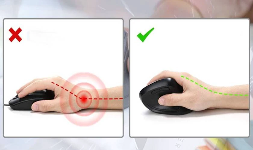 Sự kh&aacute;c biệt giữa chuột c&ocirc;ng th&aacute;i học v&agrave; chuột thường