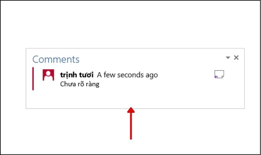 Comment trong văn bản l&agrave; g&igrave;?